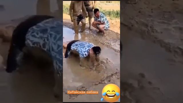 Очень прикольная игра😂... #shorts