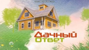 (Suno AI) Нейросеть расширила тему "После ремонта" из программы "Дачный ответ"