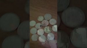 Копим на намордник для собак