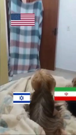 О ситуации в мире.