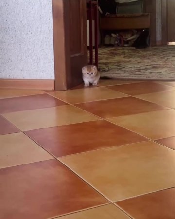 Подпишись 👉 https://vk.com/ykrasheniy_iz_kamny
