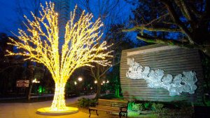 Walking in Sochi | В городе Сочи тёмные ночи (February 21, 2024)