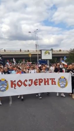 В столице Сербии начался масштабный протест требующий досрочных парламентских выборов