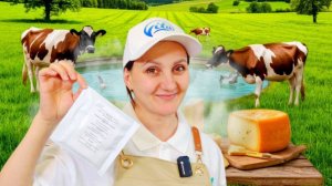 Сыр "Шевр в масле" :Подробные ответы.   Будни Сыровара Ольги Елисеевой / Просолка сыров и др..