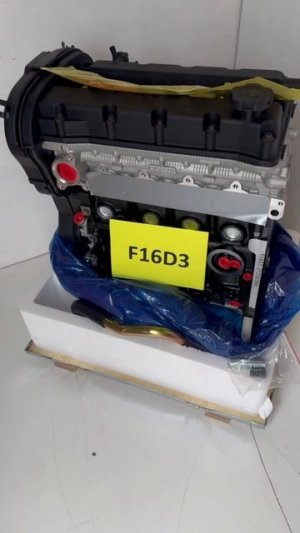 f16d3 ml (2)