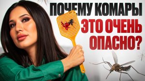 Почему комары — самые опасные убийцы на планете?