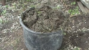 УДОБРЕНИЕ ОТ КОТОРОГО ВСЕ РАСТЕТ КАК НА ДРОЖЖАХ