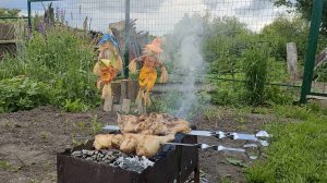 Деревенский привет с шашлыком и затянувшимся благоустройством. Мордовская глубинка. Июнь 2025