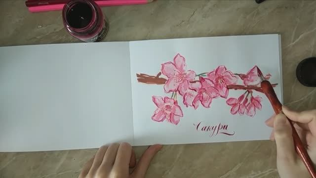 Как нарисовать сакуру акриловыми маркерами и подписать красивой каллиграфической надписью #каллиграф