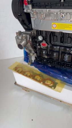 f16d4 ml (4)