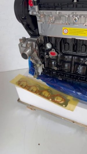 f16d4 ml (4)