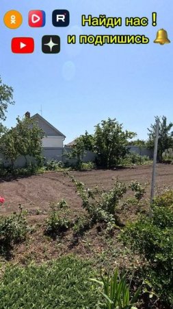 🏡 Виноградный Дворик !📋 61 м2 15 соток💰4 300 000 ₽ 📍станица Староминская📲 8 924 540 49 92 🌴
