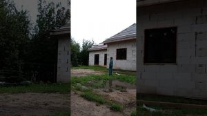 кидаю кольцо собаке