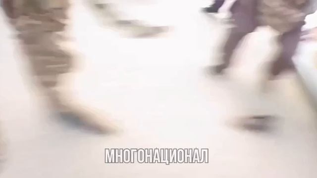 Вчера в сети всплыло видео с избиением сотрудников ВП (или ВАИ) в Белгородской области.  Весь ко...