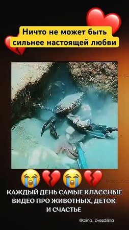 Как он её защищает💔
