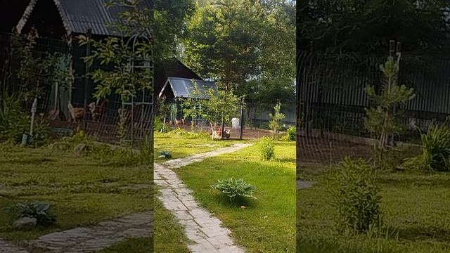 28-06-2025