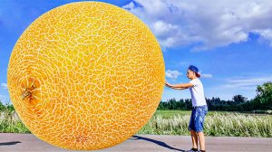 Дети играют в игры про Волшебница сделала Гигантскую Дыню как в Мультики