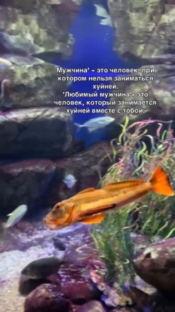 Вместе