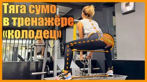 Тяга сумо в тренажере "колодец"