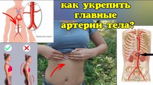 Сутулость зажимает нервы брюшной аорты, вредит сердцу, лёгким, животу. Оживляющие упражнения