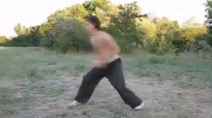 Ланьшань цюань Таолу Лохуа цюань