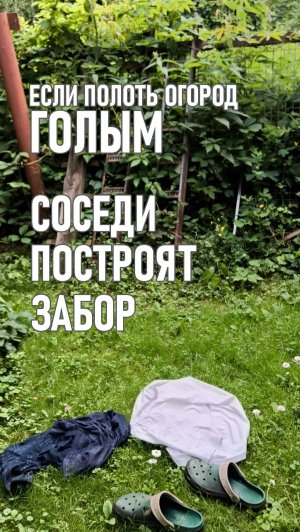 Если ходить голым, соседи поставят забор бесплатно #огород #юмор #смешное #дача #смешноевидео