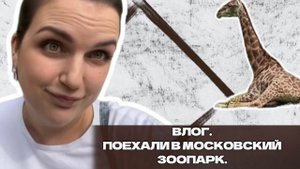 ВЛОГ | ПОЕХАЛИ В ЗООПАРК | МОСКОВСКИЙ ЗООПАРК КАК ТАМ СЕЙЧАС? | ПОСМОТРЕЛИ НА ЛЬВОВ, ЗЕБР И ДРУГИХ