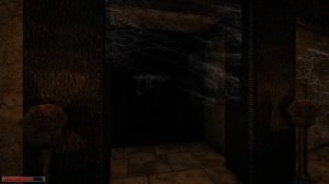 Gothic/Готика - 10 серия. Город орков + храм спящего!