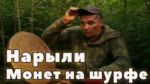 Жесть. нарыл монет с шурфа. жара, овода