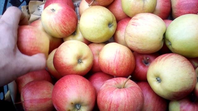 Чем заменить СИГАРЕТЫ когда БРОСАЕШЬ КУРИТЬ
