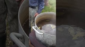 Тайга и дядя Толя. Моменты таежного счастья.