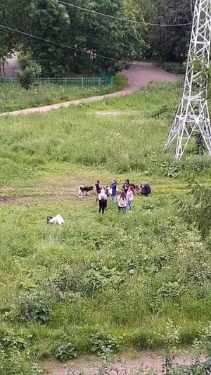 VID_20250627_214400