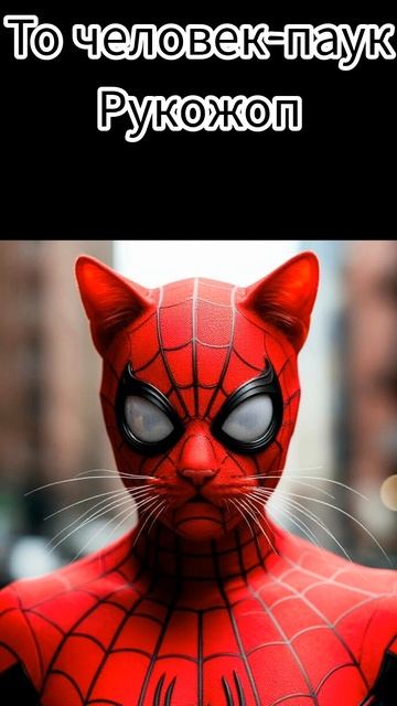 чек пук смотреть онлайн