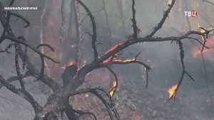 В Забайкалье спасатели и добровольцы борются с природными пожарами / События на ТВЦ