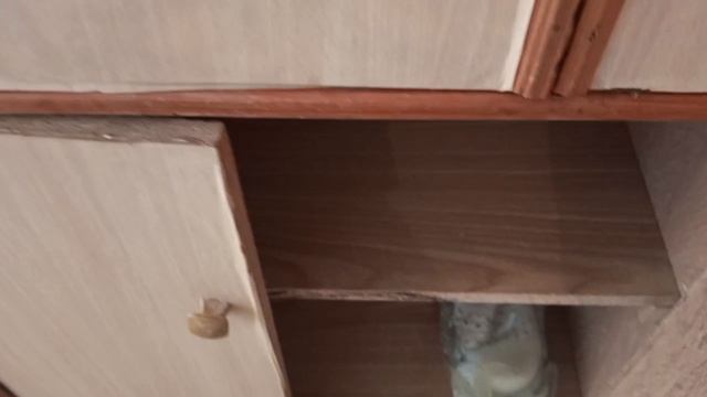 Егорьевск/Обзор коридора и санузла /Продаю квартиру/