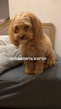 Ответственность