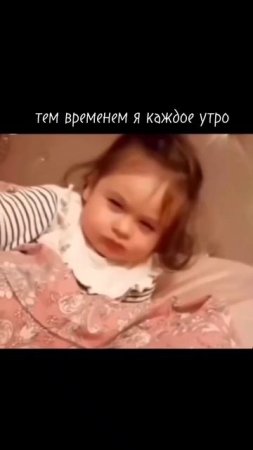 scene_output.mp4