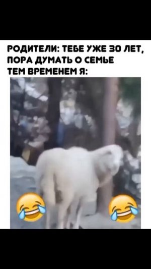 лол