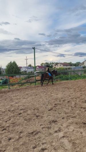 Даша и Аквилон, подъем в галоп в углу на плацу.