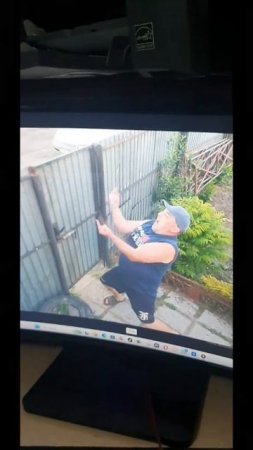 Смешные видео