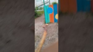 крик 4:)