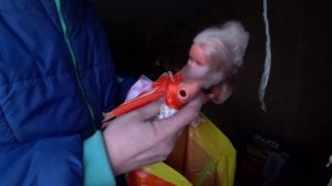 Влог от 12.12.2020