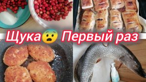 Первый раз приготовила котлеты из Щуки. Супер слойки. Ягоды нет 😱