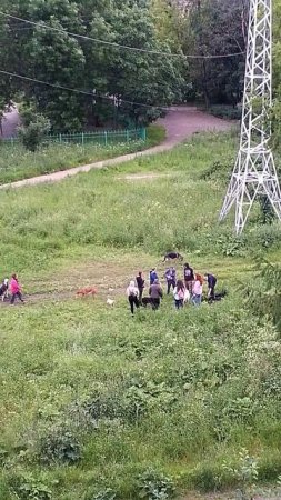 VID_20250627_215037