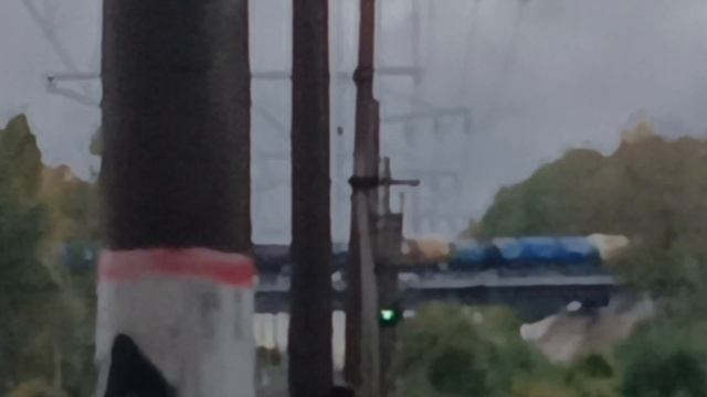 Поезда в Сентябре Новый второй путь Растительного локомотив 2024 году смотреть онлайн