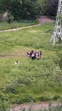 VID_20250627_214612