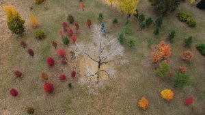 Осенний Красноярск - гастростолица Сибири