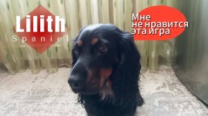 Неинтересная игра