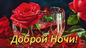 Приятных снов💎Доброй ночи 💎Тебе желаю от души💎Пусть сны, которые увидишь💎Будут лишь радостью пол