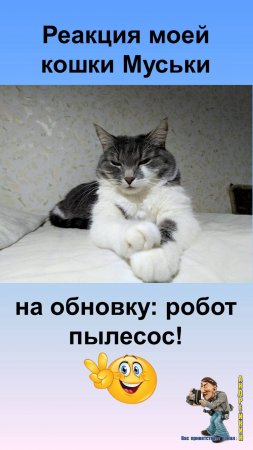 Реакция моей кошки Муськи на обновку,робот-пылесос